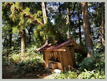 たかはし栄 高橋 栄 個人質問 小山市議会議員 小山市 市議会議員 市議 栃木県 たかはし さかえ