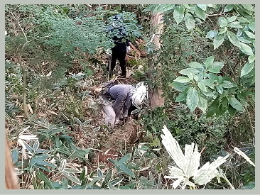 たかはし栄 高橋 栄 個人質問 小山市議会議員 小山市 市議会議員 市議 栃木県 たかはし さかえ