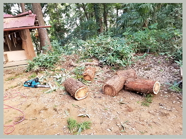 たかはし栄 高橋 栄 個人質問 小山市議会議員 小山市 市議会議員 市議 栃木県 たかはし さかえ