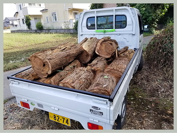 たかはし栄 高橋 栄 個人質問 小山市議会議員 小山市 市議会議員 市議 栃木県 たかはし さかえ