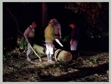 たかはし栄 高橋 栄 個人質問 小山市議会議員小山市 市議会議員 市議 栃木県 たかはし さかえ