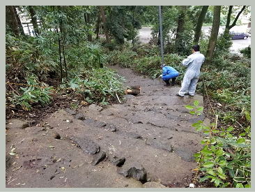 たかはし栄 高橋 栄 個人質問 小山市議会議員 小山市 市議会議員 市議 栃木県 たかはし さかえ